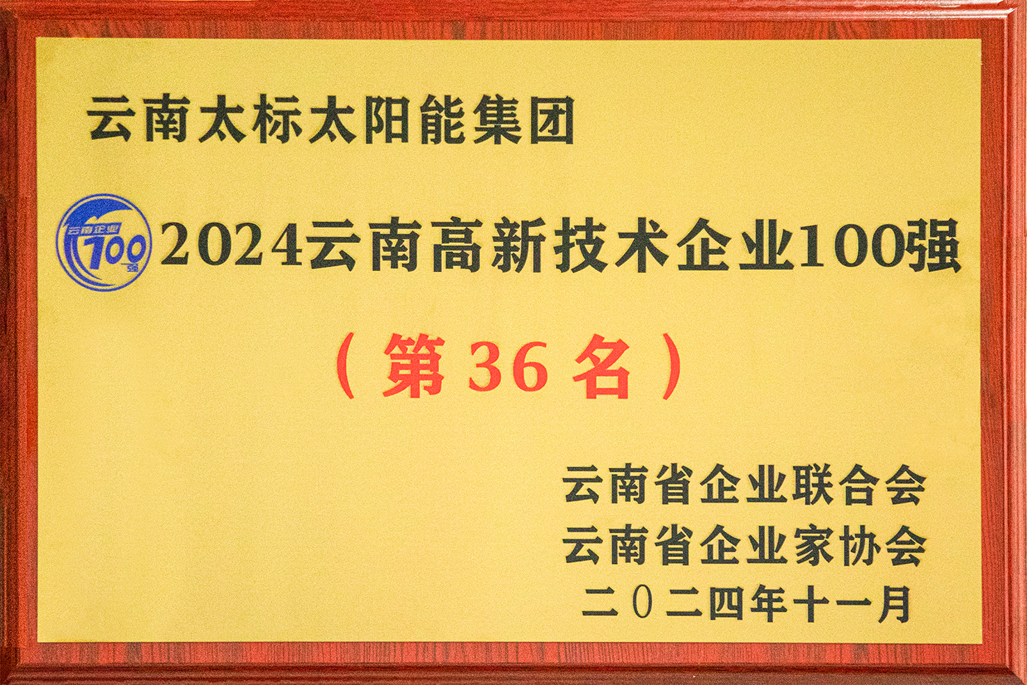2024高新技術企業(yè)100強獎牌